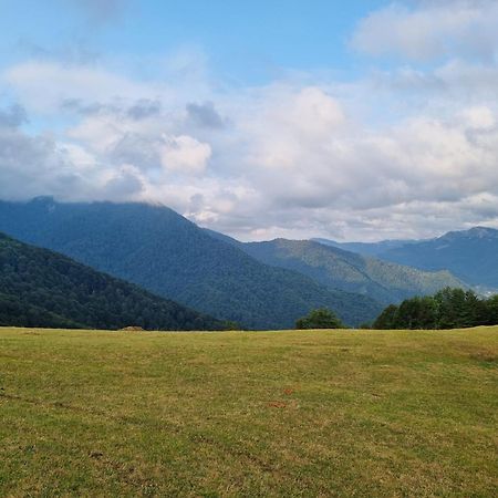 Katun Lanista-Kolibe Bogavac Vila Mojkovac Exterior foto