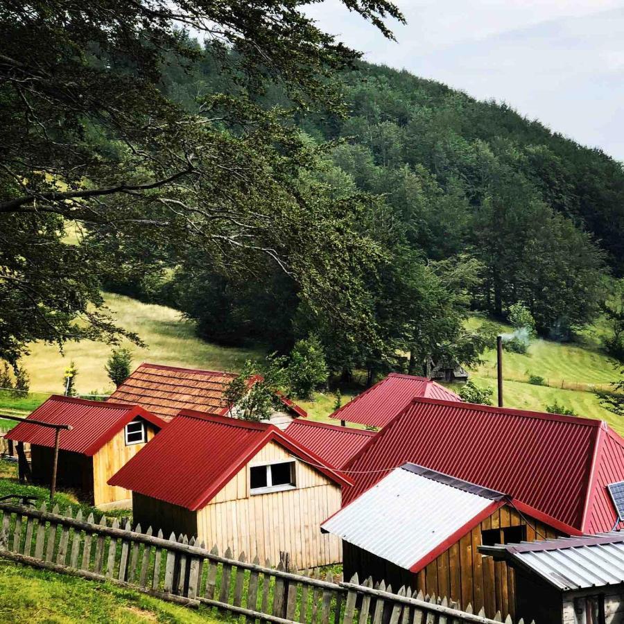 Katun Lanista-Kolibe Bogavac Vila Mojkovac Exterior foto