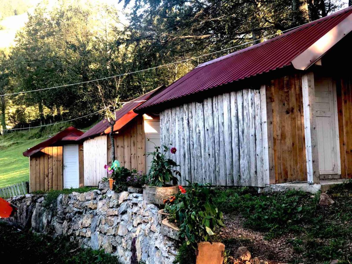 Katun Lanista-Kolibe Bogavac Vila Mojkovac Exterior foto
