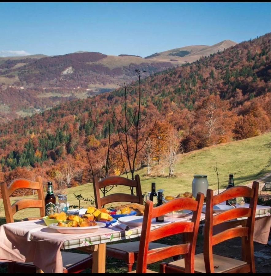 Katun Lanista-Kolibe Bogavac Vila Mojkovac Exterior foto