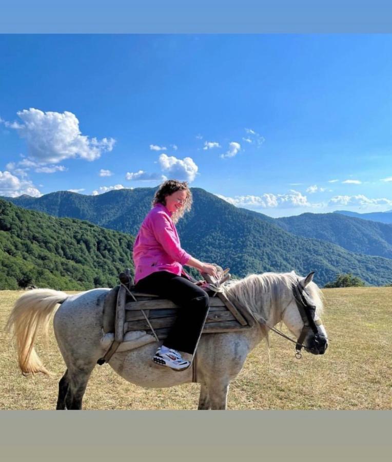 Katun Lanista-Kolibe Bogavac Vila Mojkovac Exterior foto