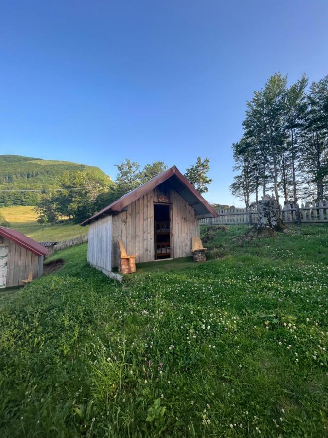 Katun Lanista-Kolibe Bogavac Vila Mojkovac Exterior foto