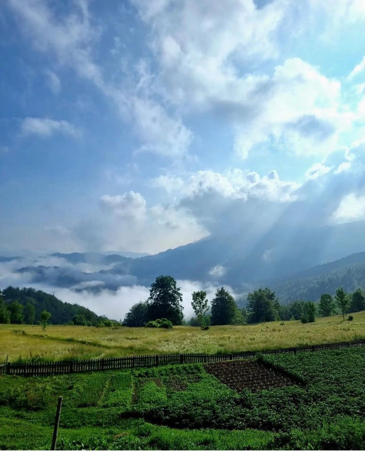 Katun Lanista-Kolibe Bogavac Vila Mojkovac Exterior foto