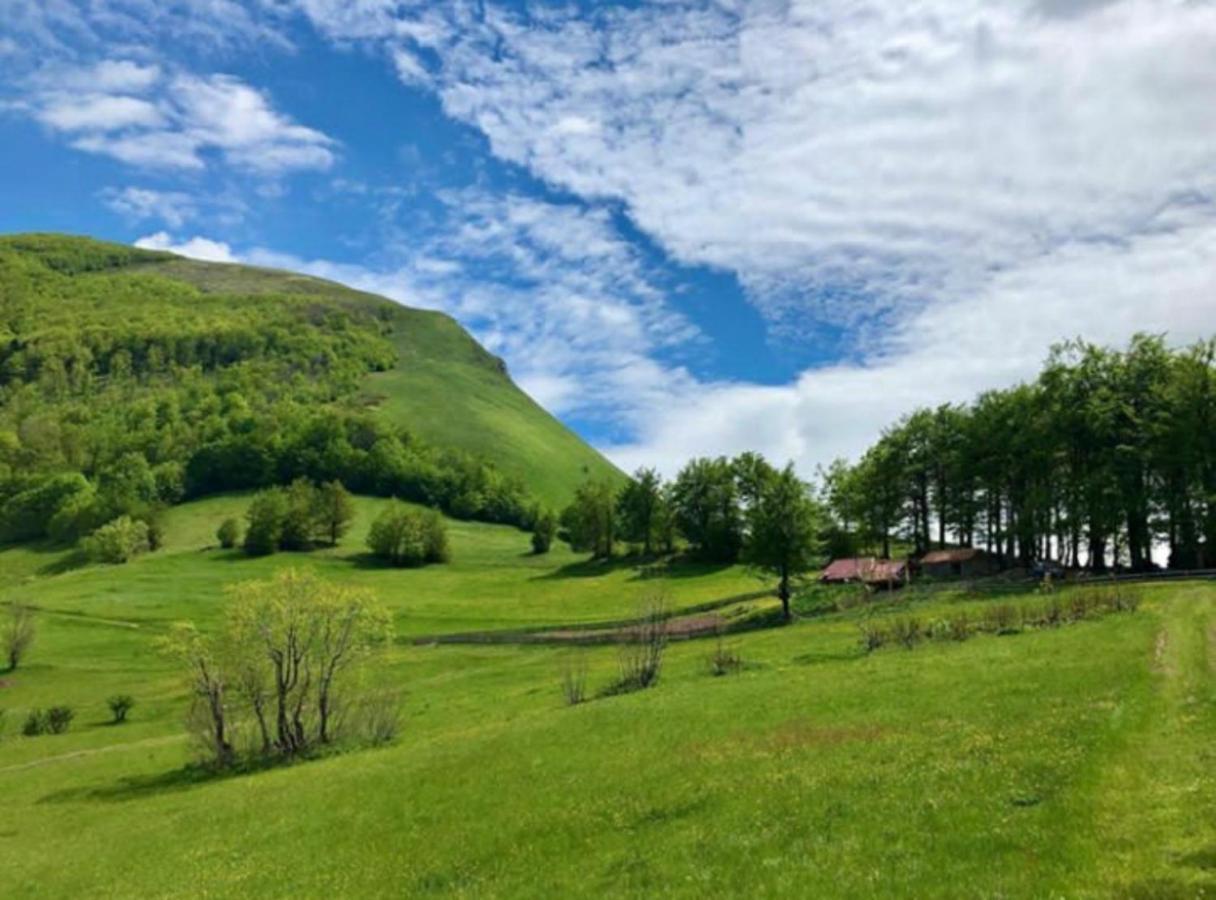 Katun Lanista-Kolibe Bogavac Vila Mojkovac Exterior foto
